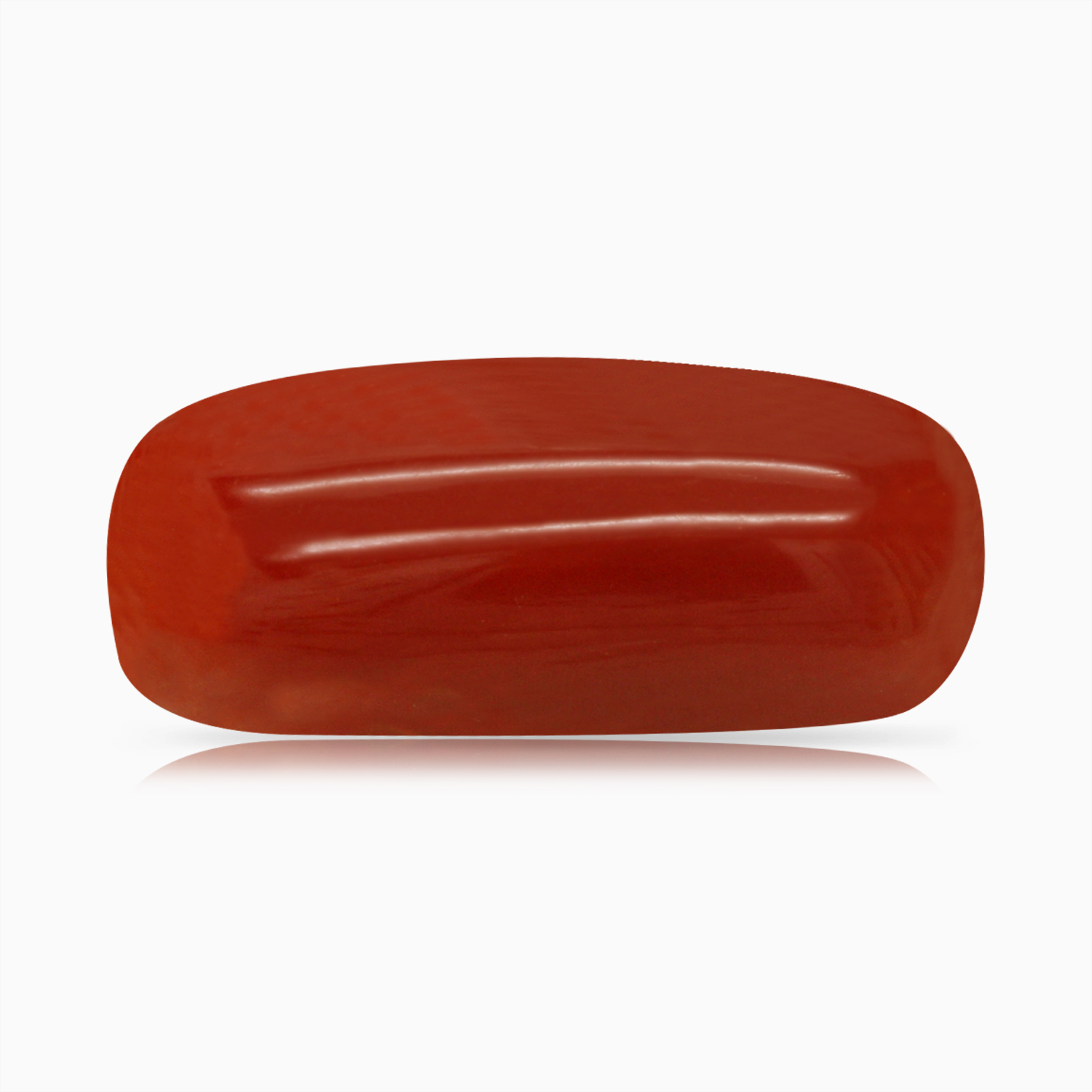 Red Coral