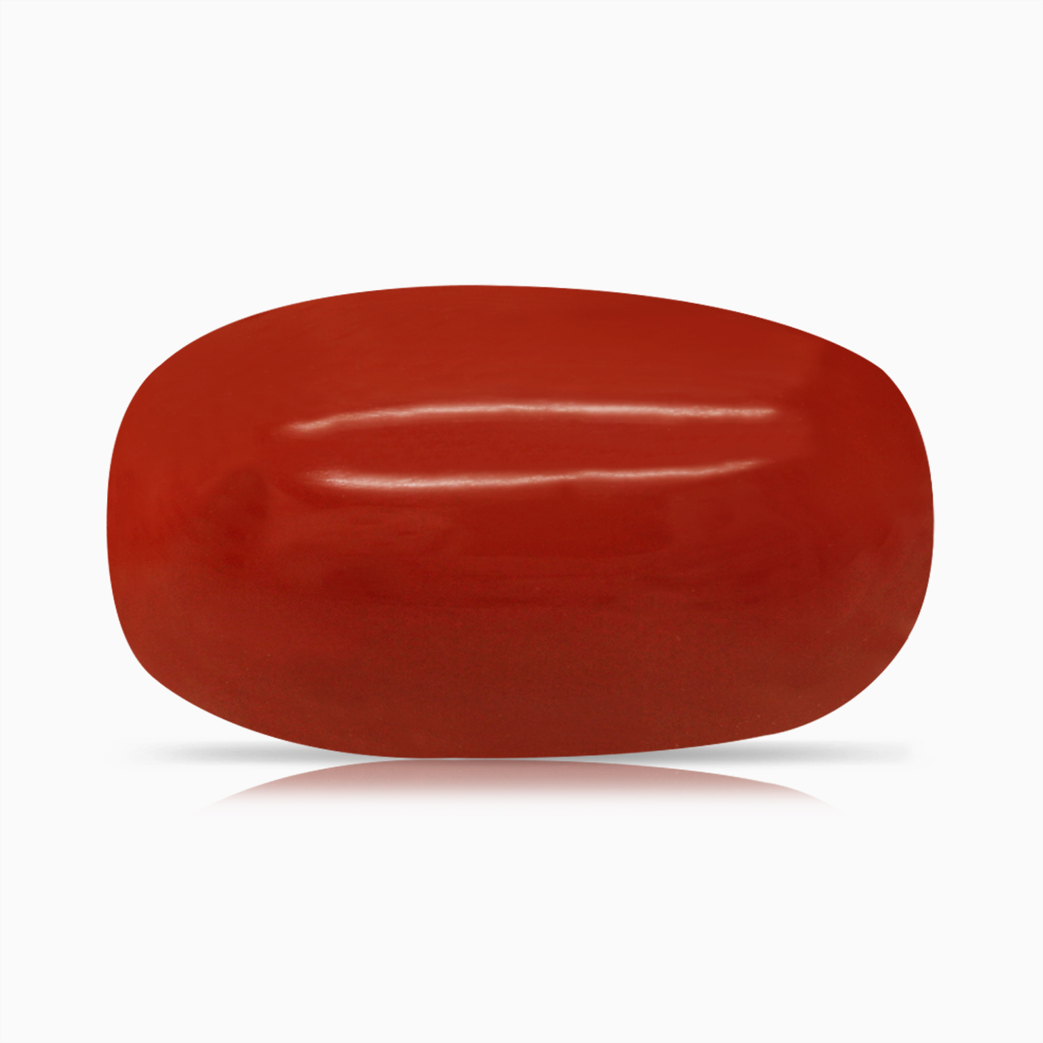 Red Coral