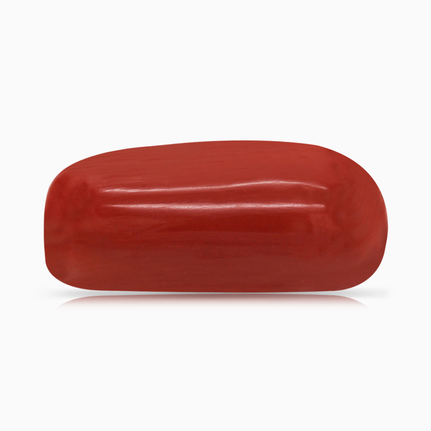 Red Coral