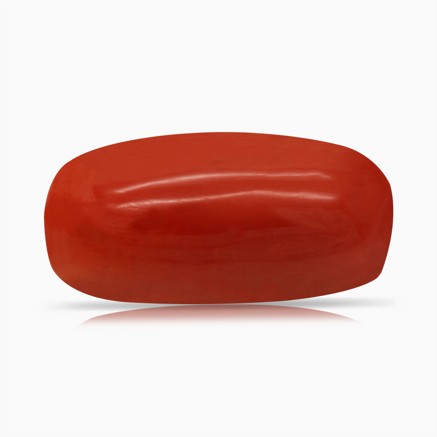 Red Coral