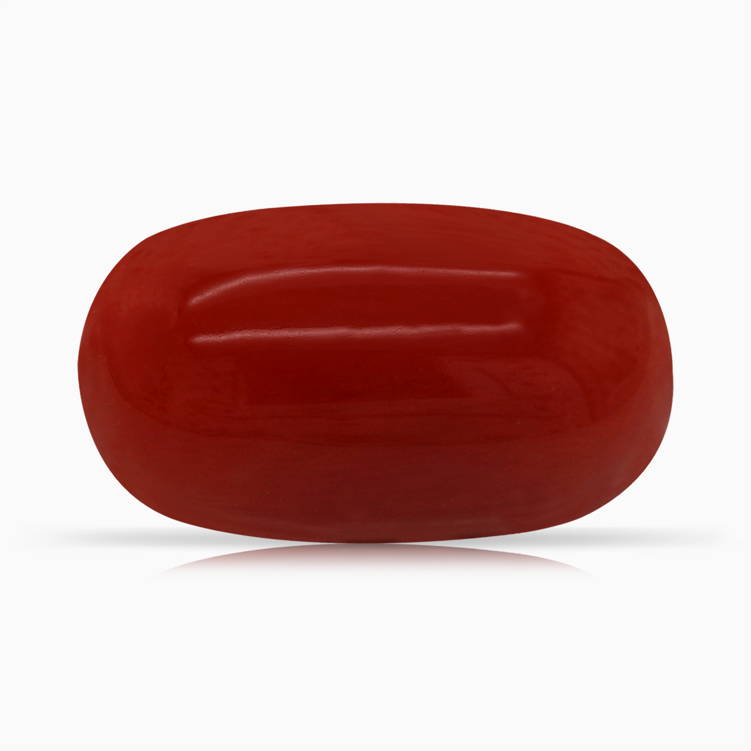Red Coral
