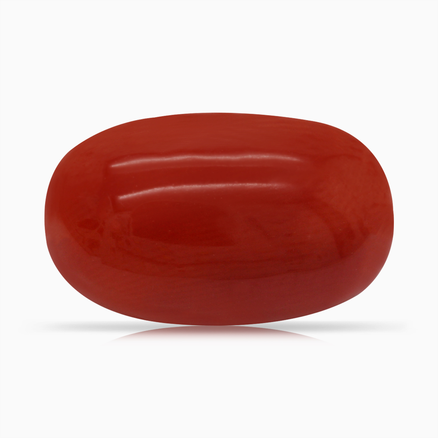 Red Coral