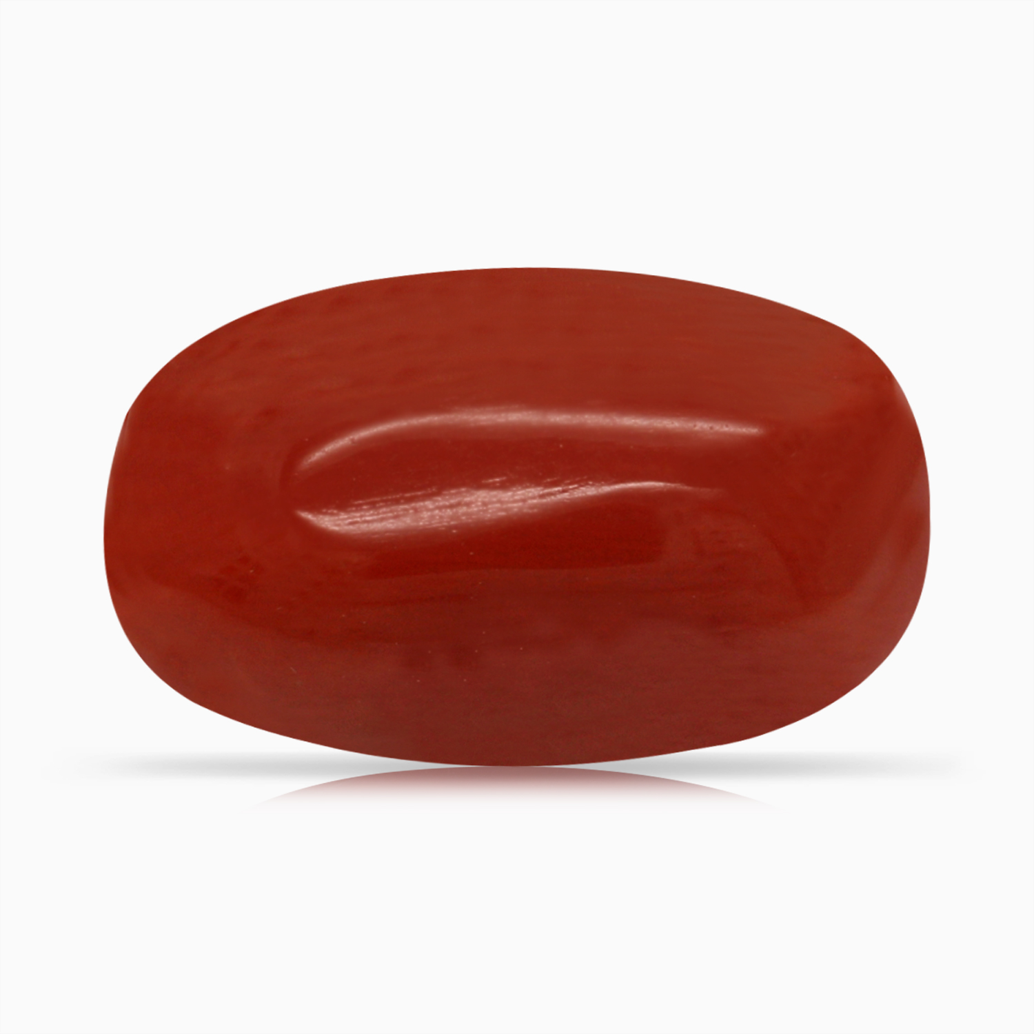 Red Coral