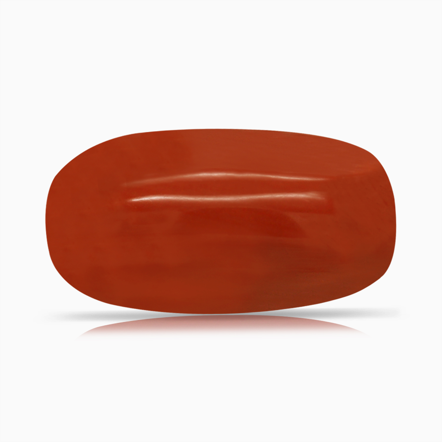 Red Coral