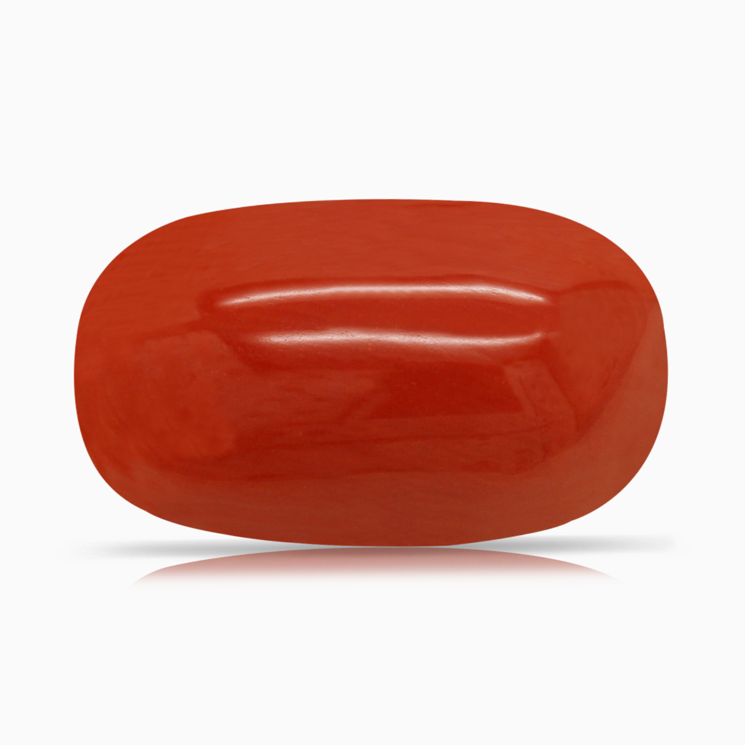 Red Coral