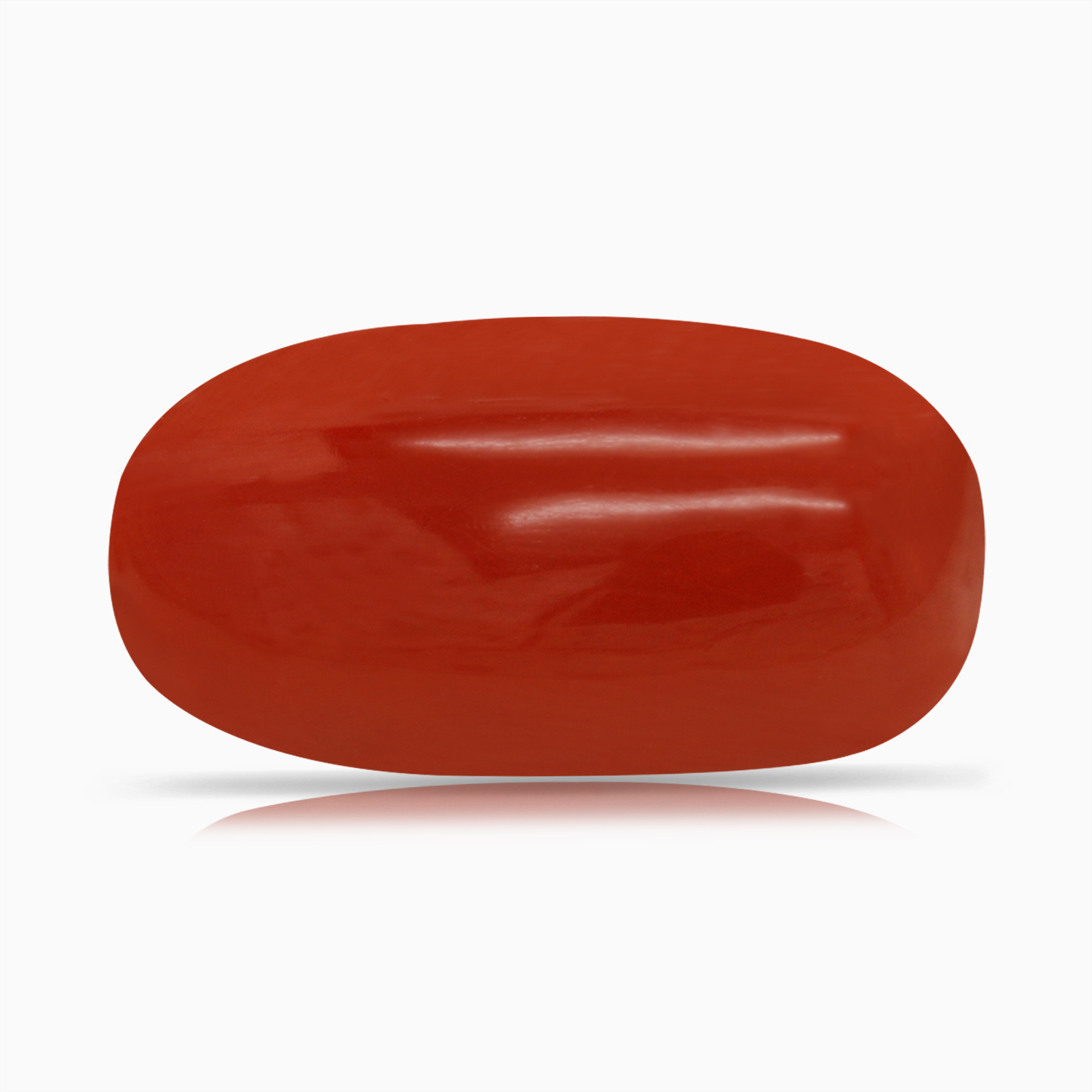 Red Coral