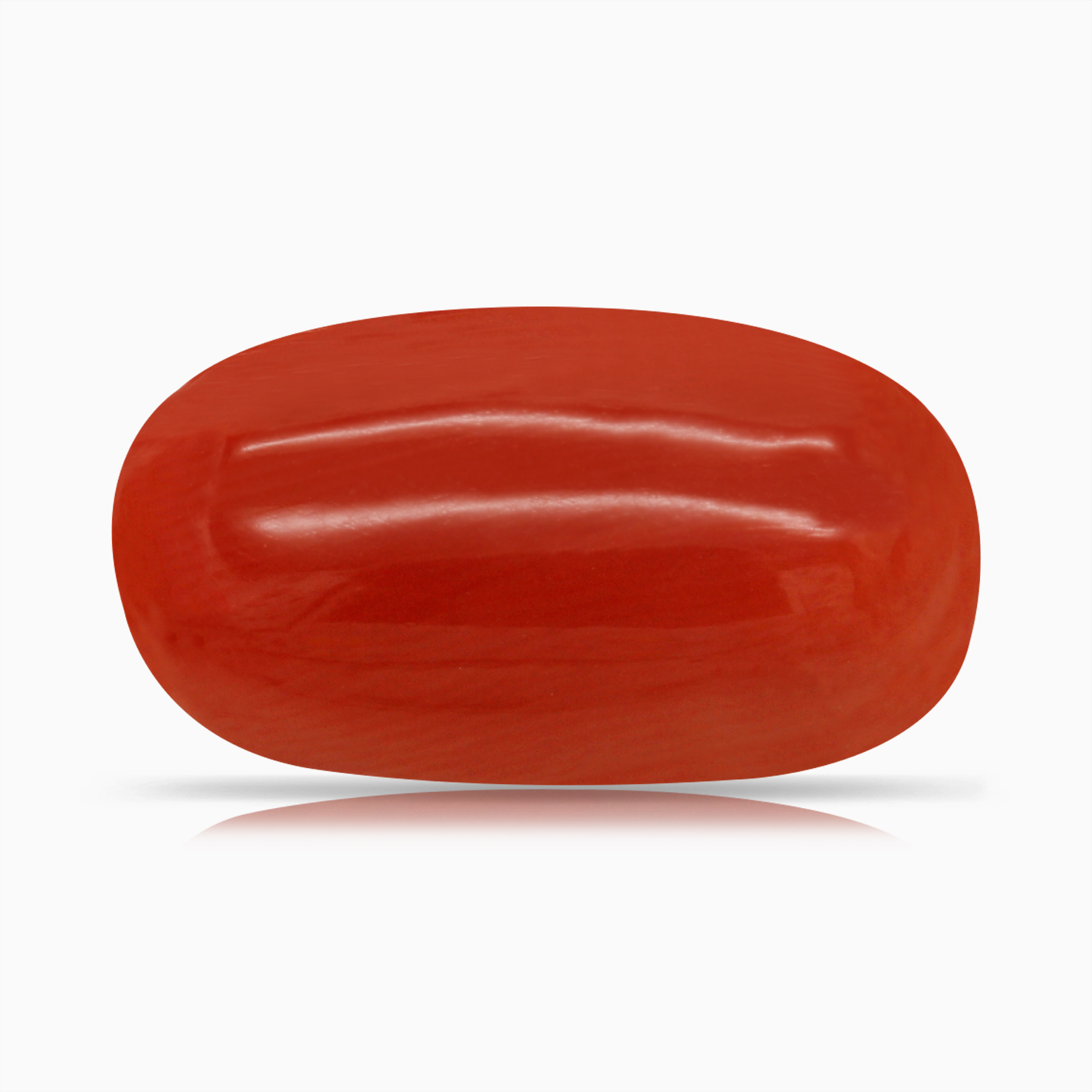 Red Coral