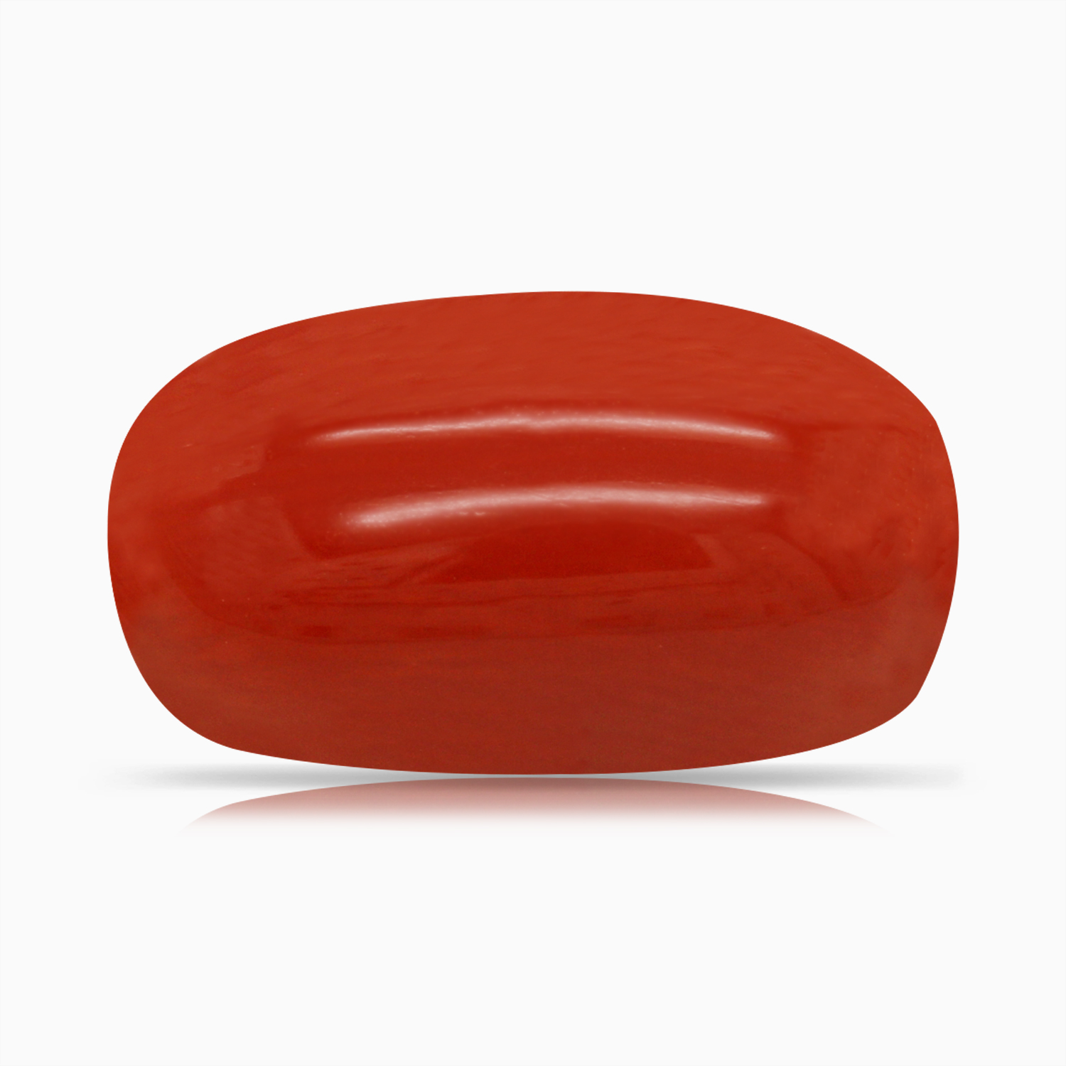Red Coral