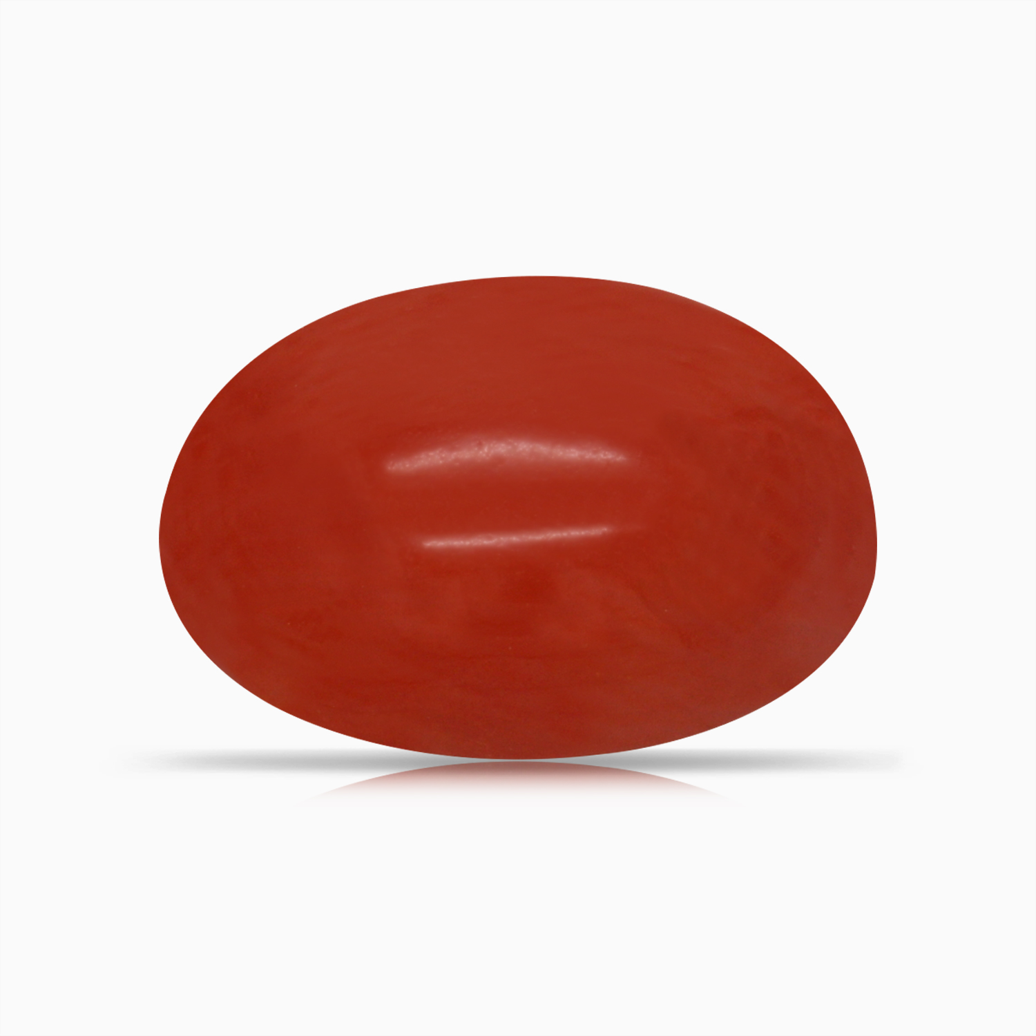 Red Coral