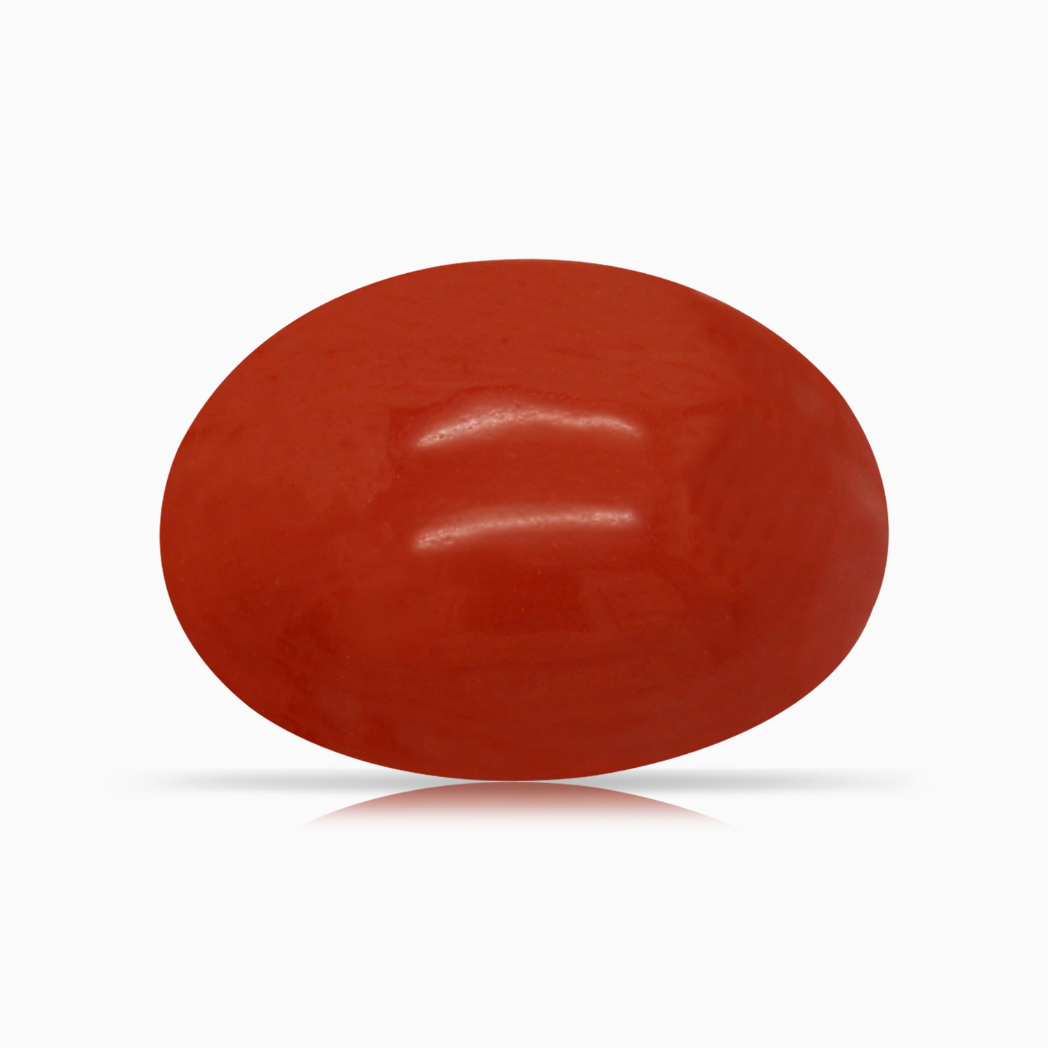 Red Coral