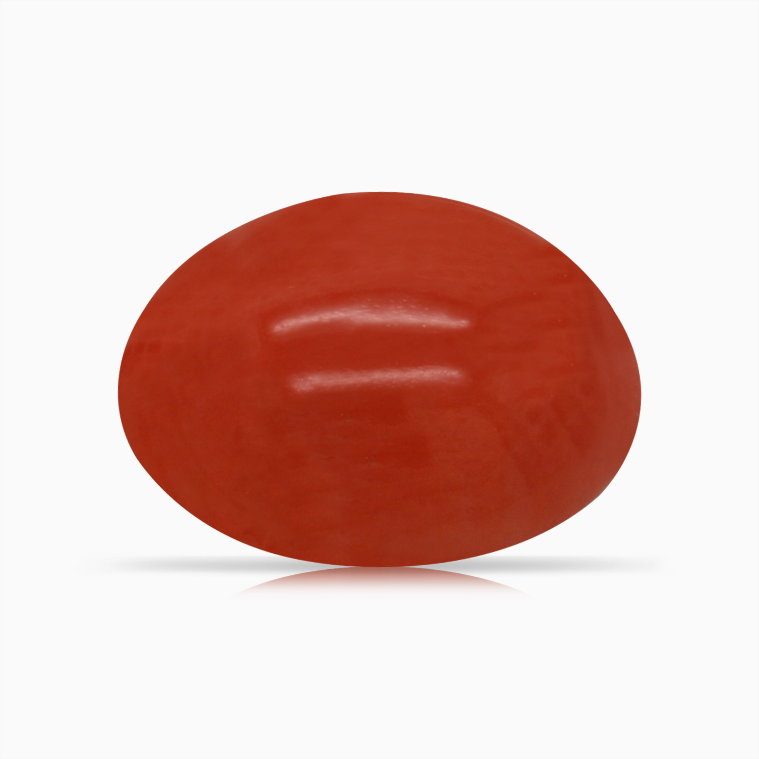 Red Coral