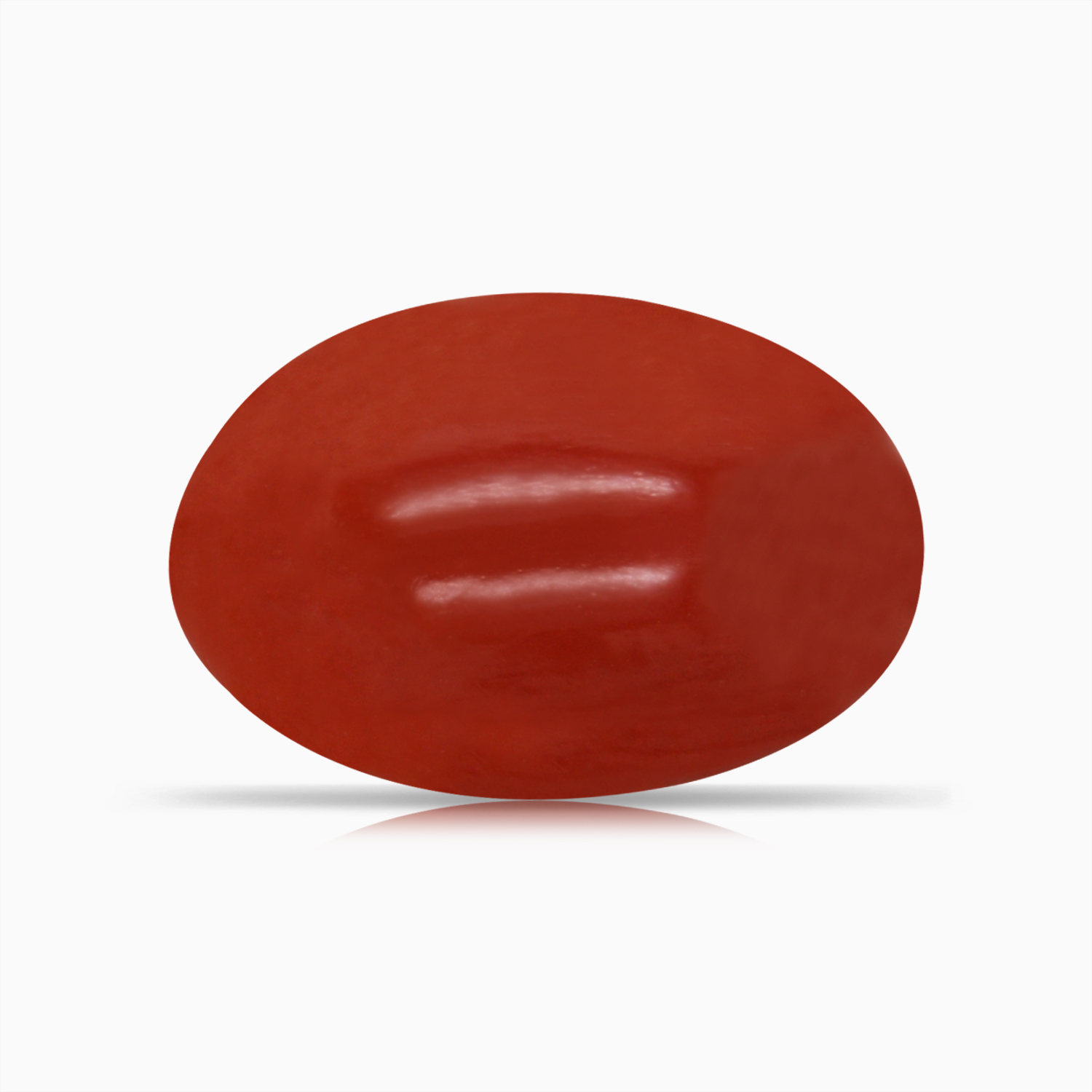 Red Coral