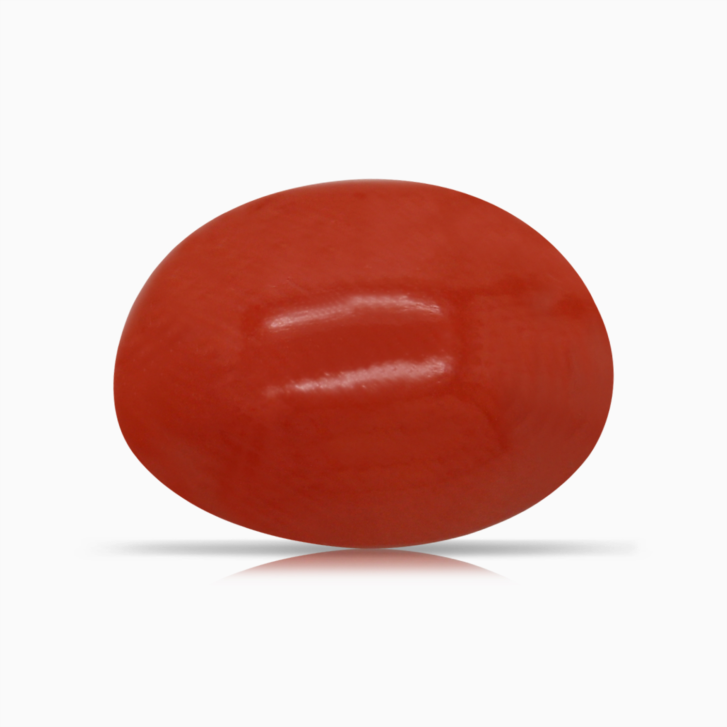 Red Coral