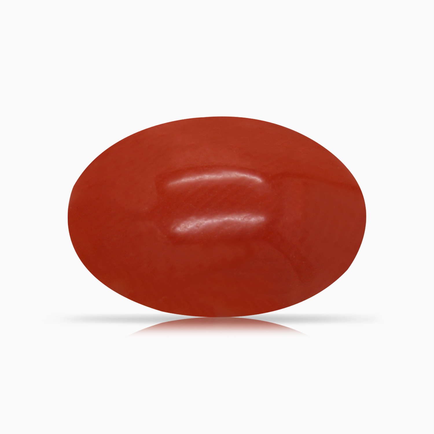 Red Coral