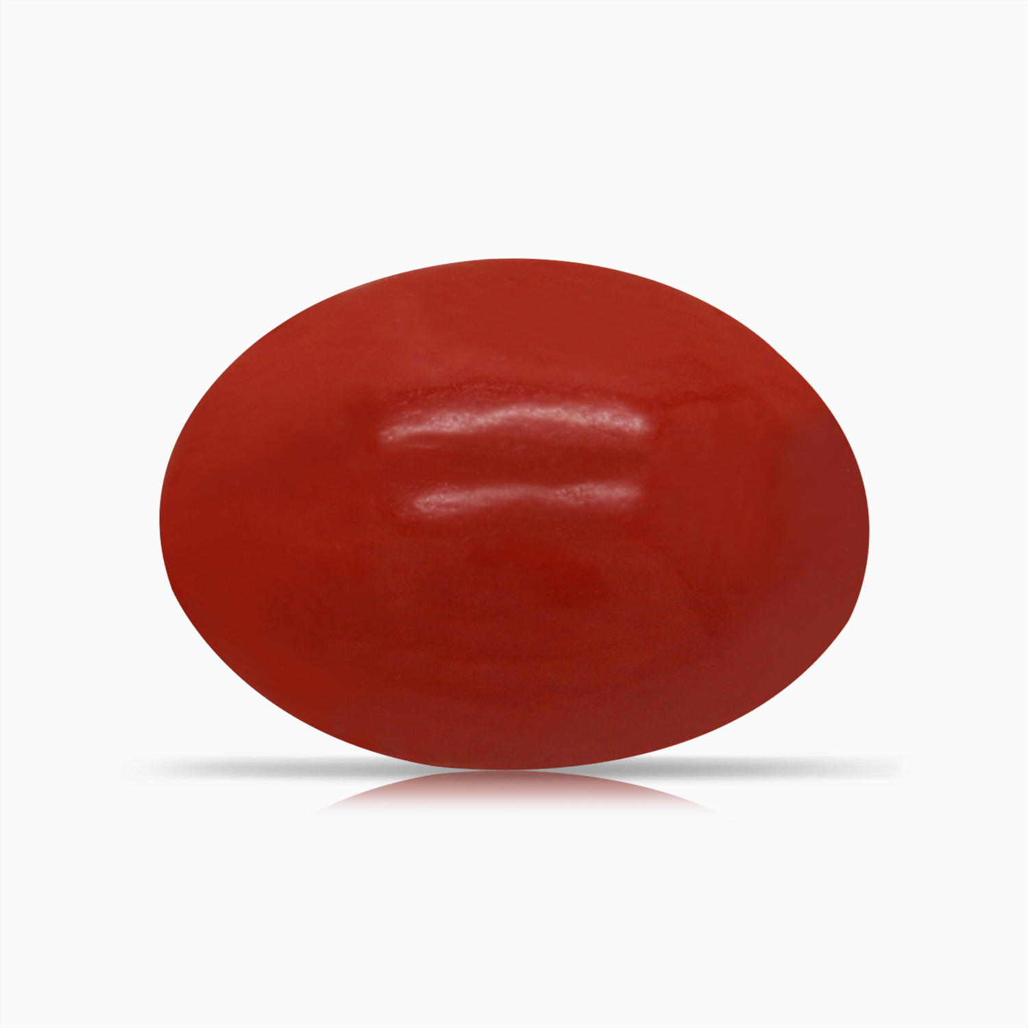 Red Coral