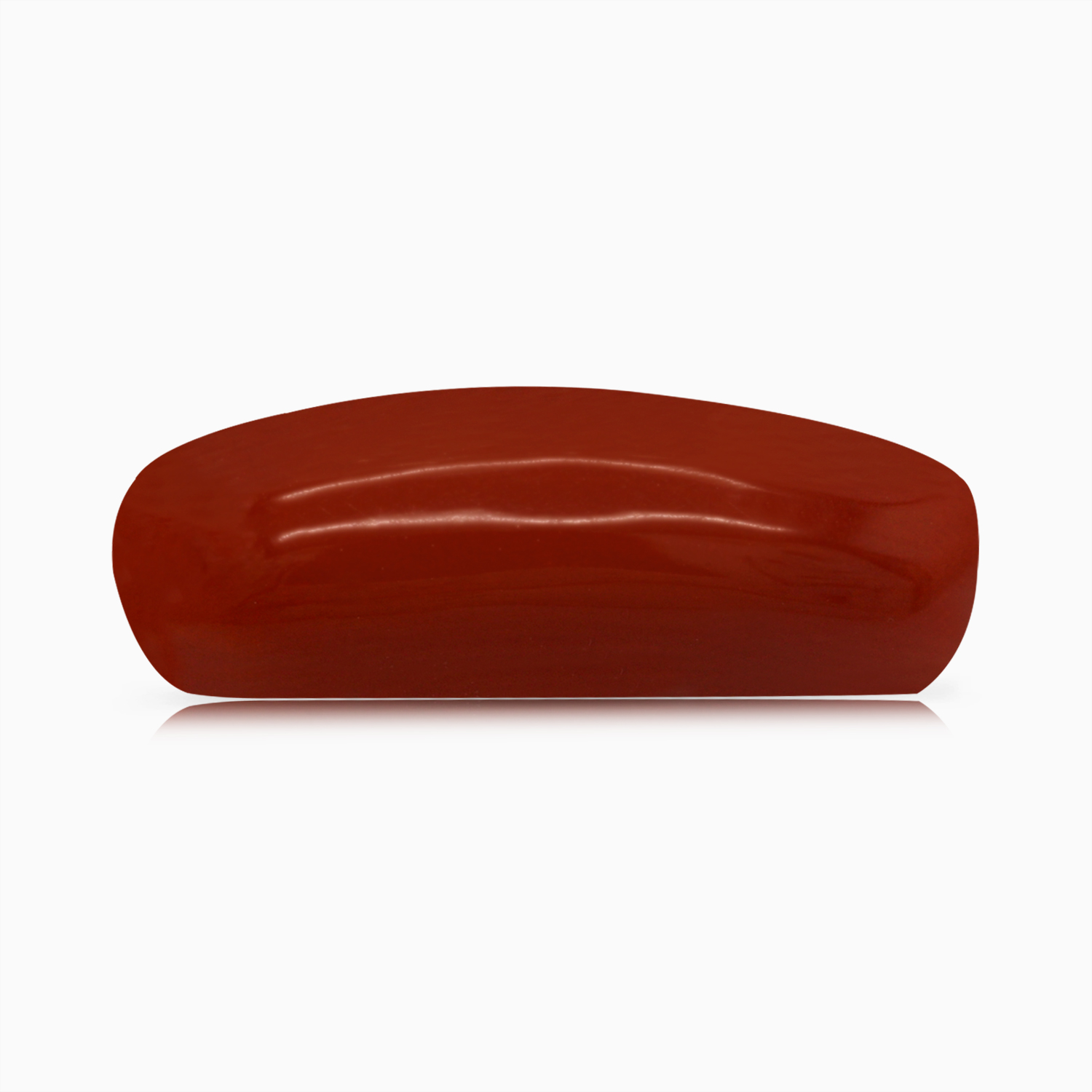 Red Coral