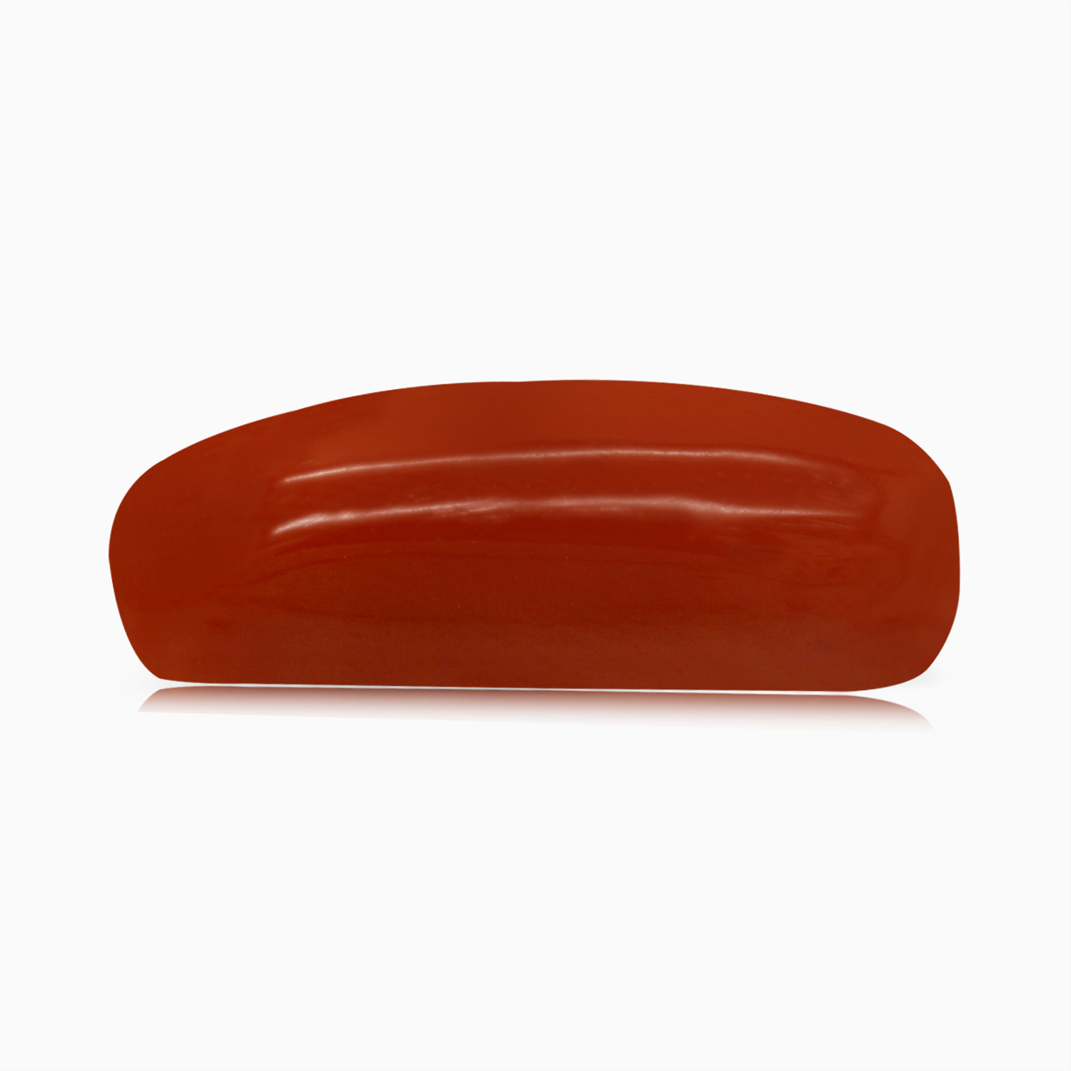 Red Coral