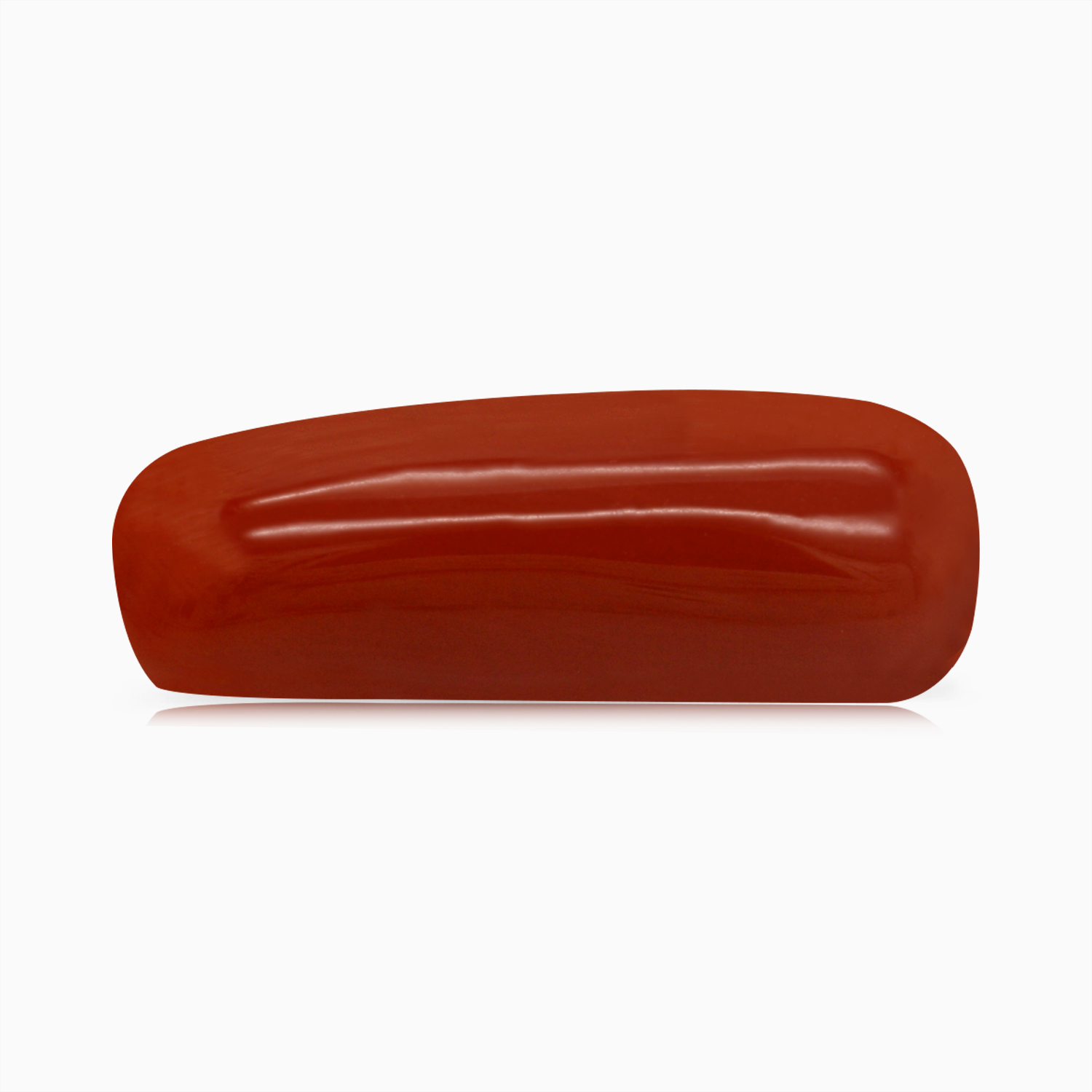 Red Coral