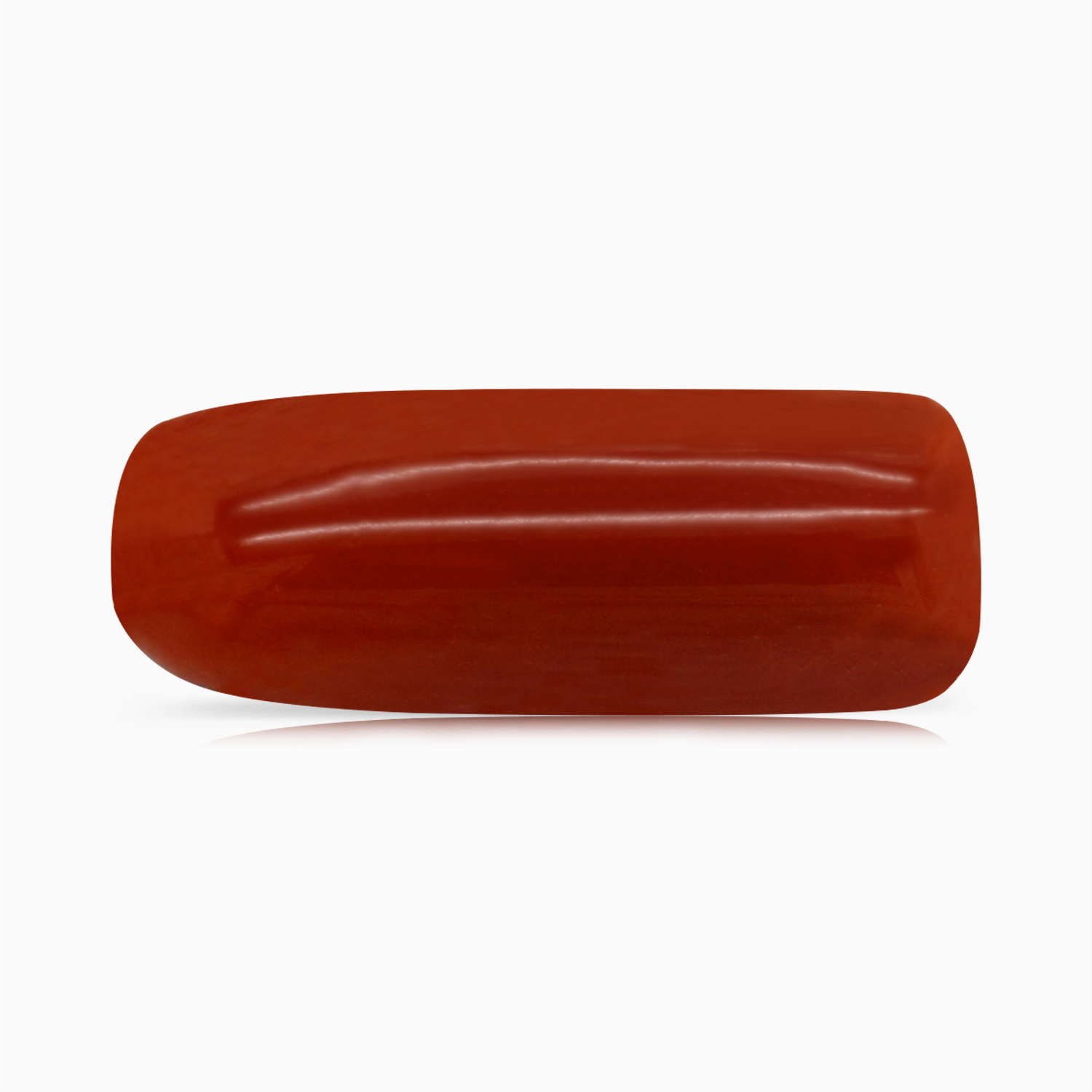 Red Coral