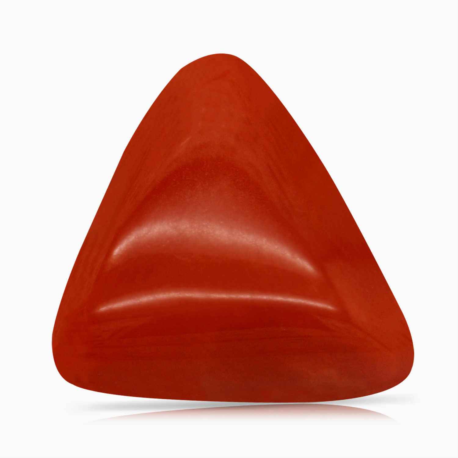 Red Coral
