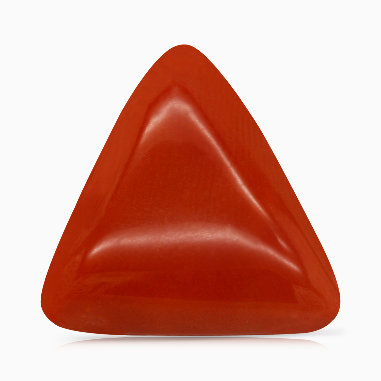 Red Coral