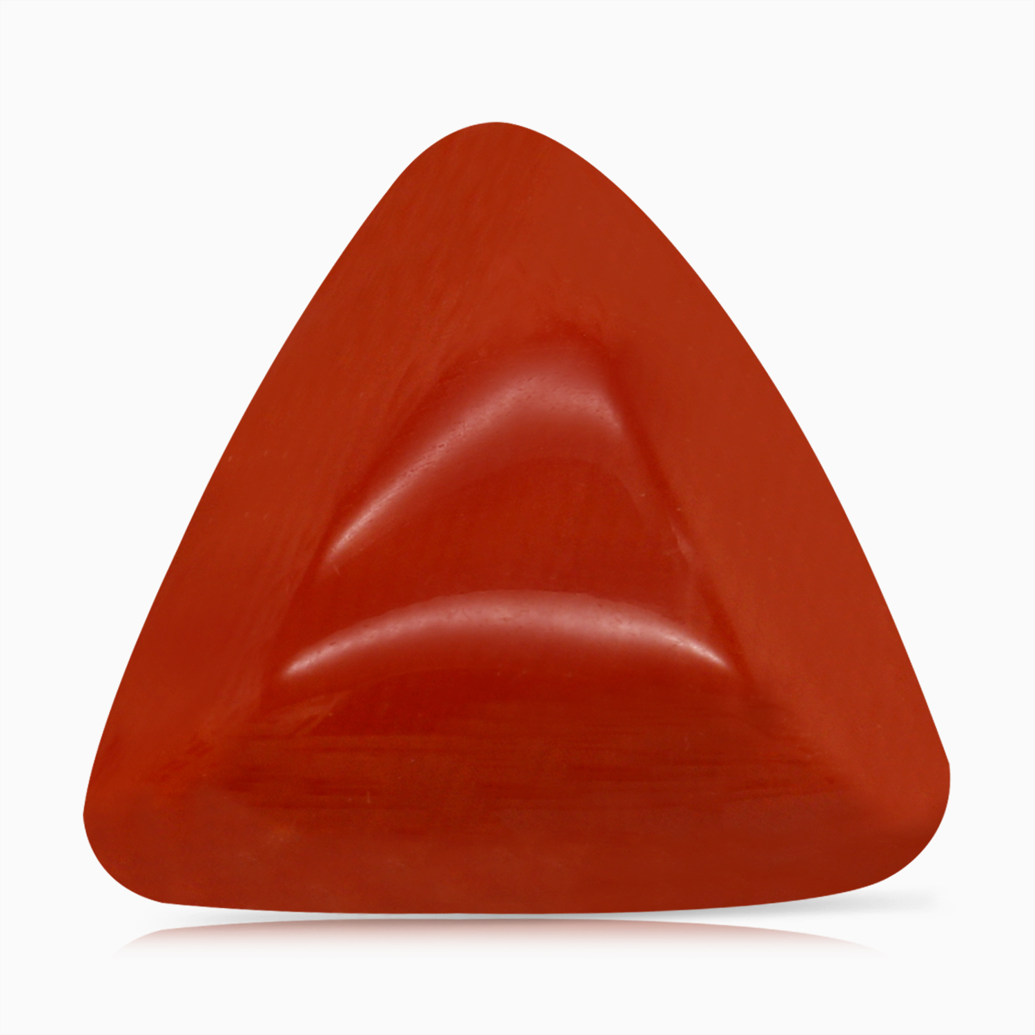 Red Coral