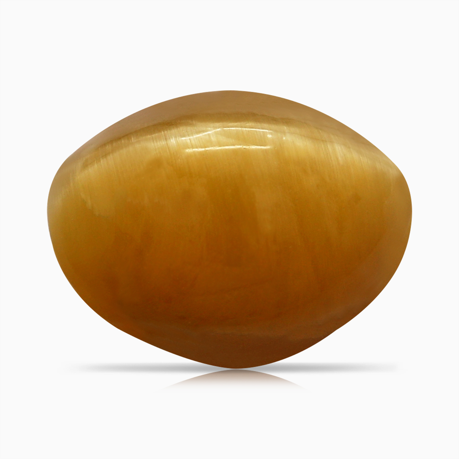 Cat's Eye